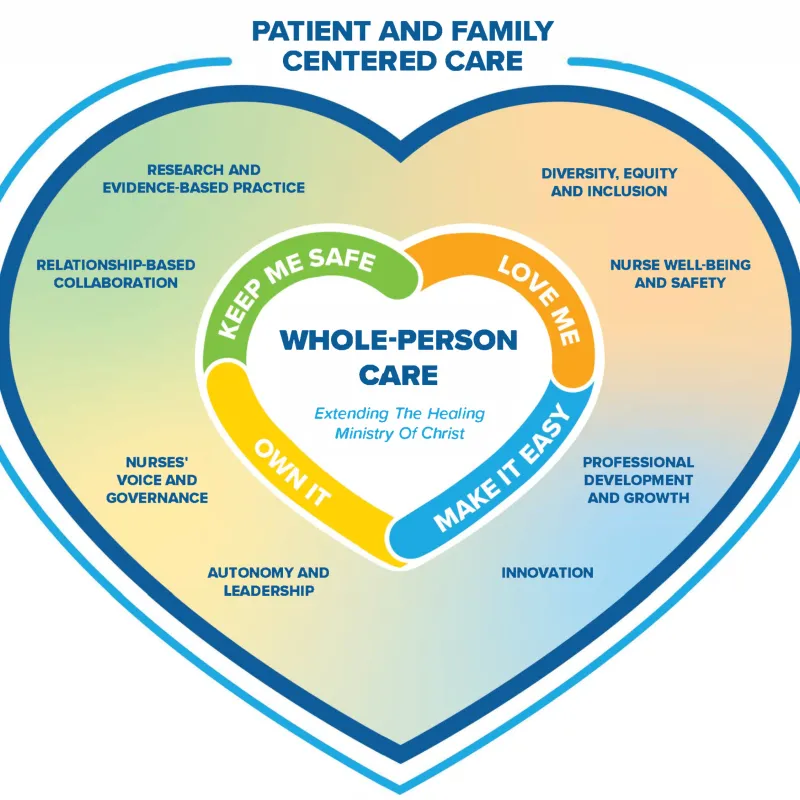 professional practice model heart