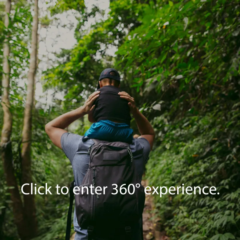 Father and son hiking in forest