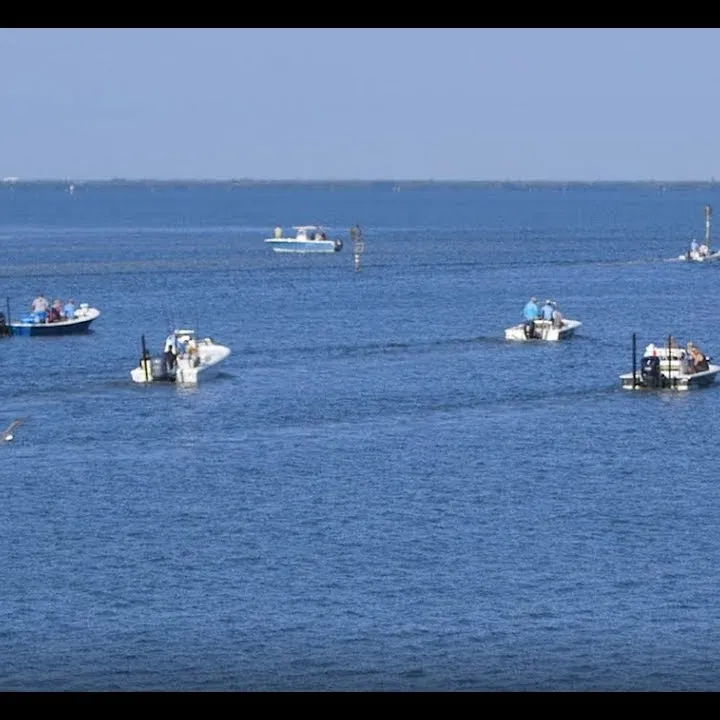 AdventHealth West Florida Foundation Fishing Tournament