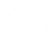 The logo of the hockey team, The Tampa Bay Lightning