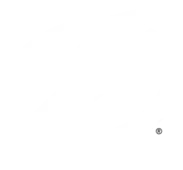 Tampa Bay Lightning logo in white.