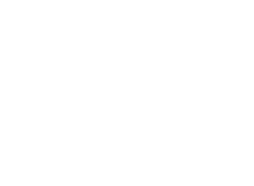 Orlando Magic Logo in all white.