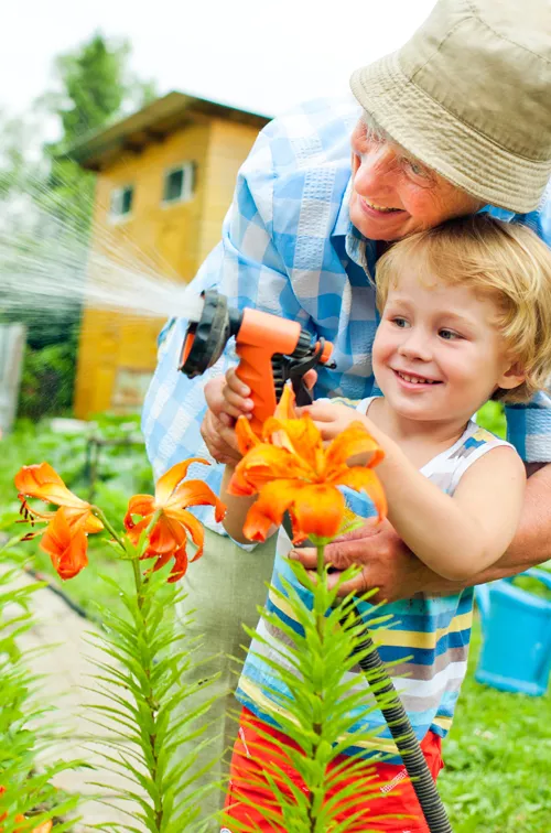 A Grandfather and Grandson Water the Garden Together on a Hot Summer Day