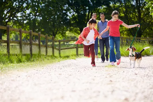 Family walking their dog along a dirt road