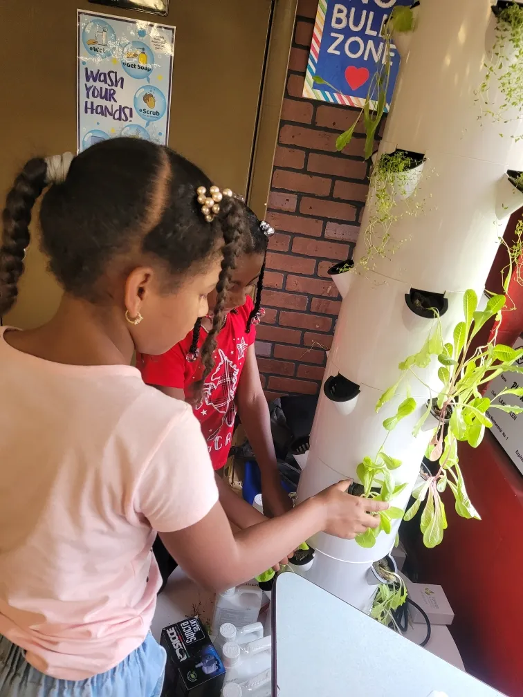 tower gardens