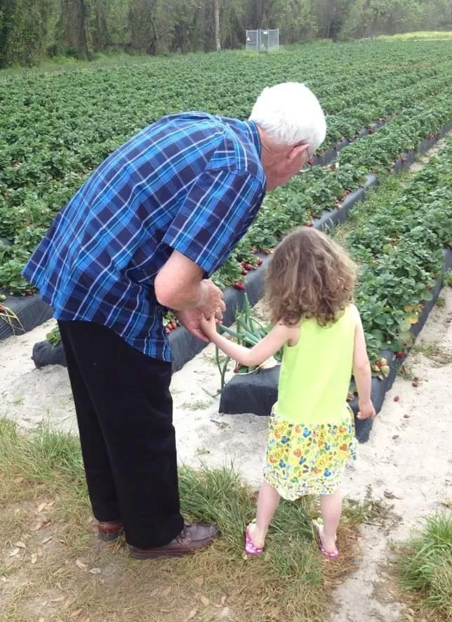 Jim with his granddaughter, Hailey, picking strawberries.