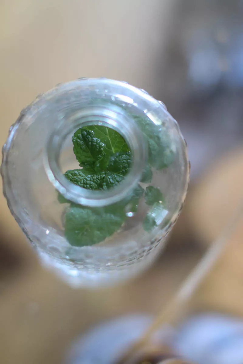 Mint in water bottle