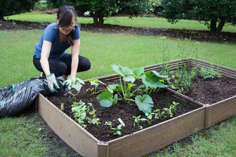 Woman gardening