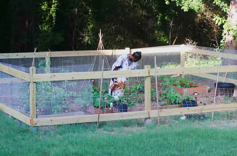 Woman in garden picking